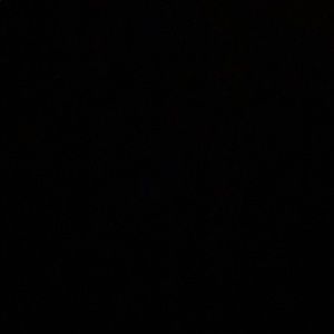 Meet your Posher, Phoenix